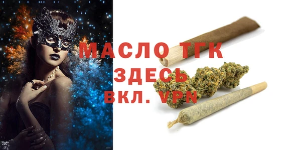 индика Дмитриев