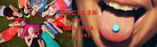 амф Дмитров