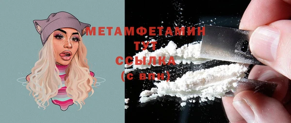 индика Дмитриев