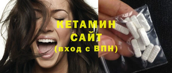 индика Дмитриев