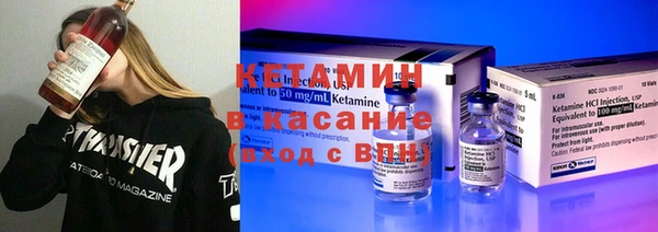 шишки Ельня