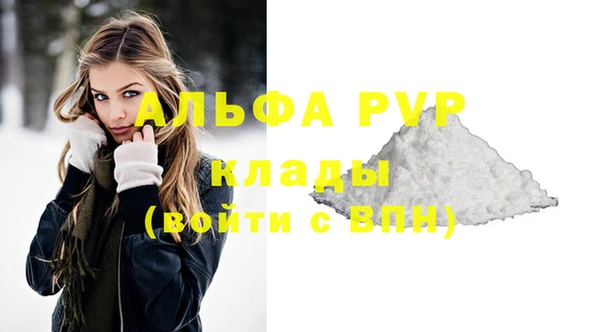 индика Дмитриев