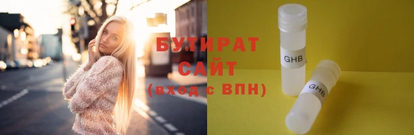 индика Дмитриев