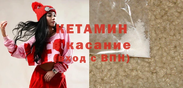 индика Дмитриев