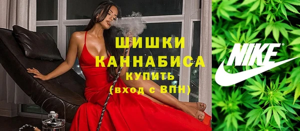 индика Дмитриев