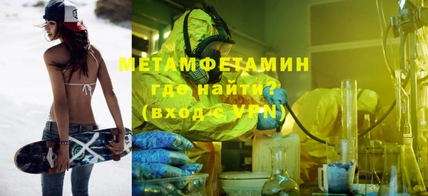 шишки Ельня