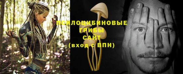 амф Дмитров