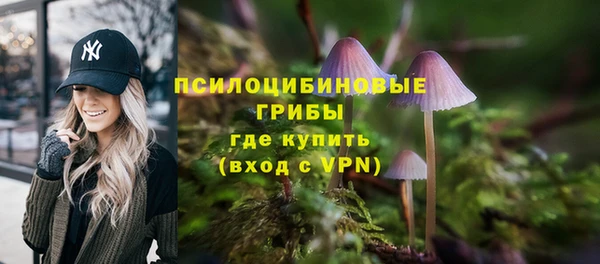 амф Дмитров